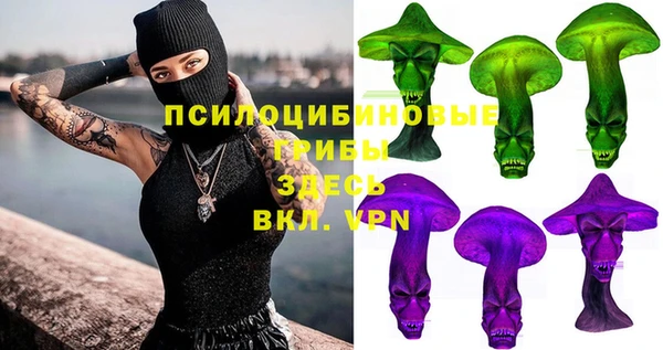 a pvp Арсеньев