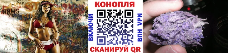 kraken ссылки  Балей  Канабис семена 